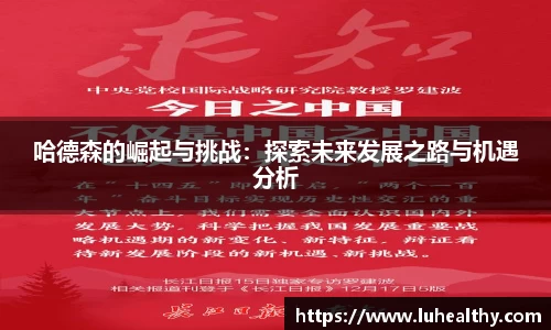 哈德森的崛起与挑战：探索未来发展之路与机遇分析