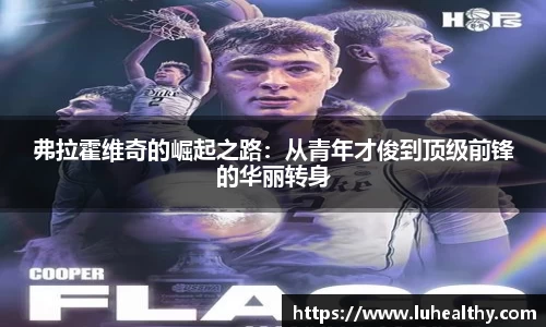 弗拉霍维奇的崛起之路：从青年才俊到顶级前锋的华丽转身