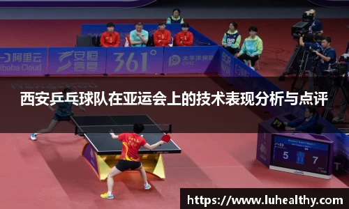 zoty中欧