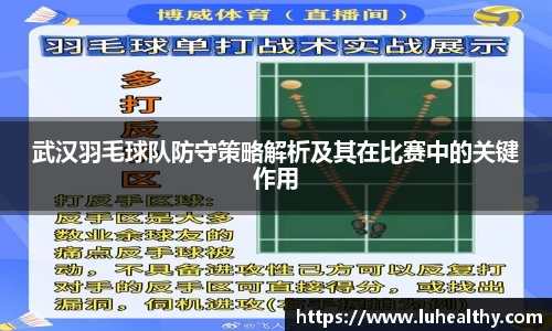 武汉羽毛球队防守策略解析及其在比赛中的关键作用