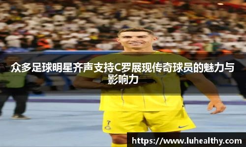 zoty中欧